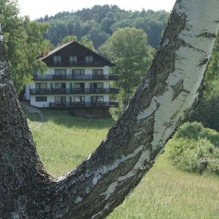Birkenhof Hotel Wald Michelbach Bagian luar foto