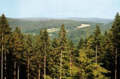 Birkenhof Hotel Wald Michelbach Bagian luar foto