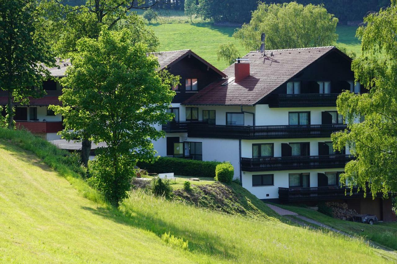 Birkenhof Hotel Wald Michelbach Bagian luar foto