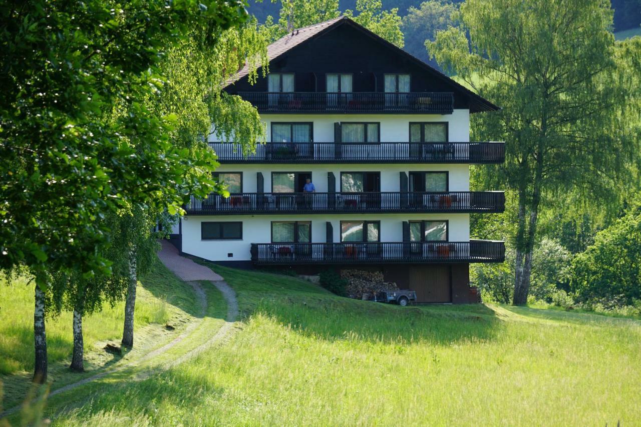 Birkenhof Hotel Wald Michelbach Bagian luar foto